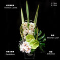 Load image into Gallery viewer, Cymbidium Table Arrangement - TFK Flower