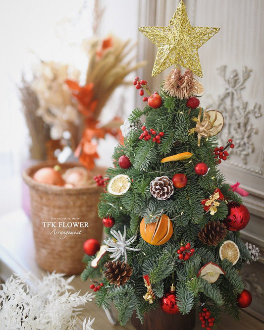 Mini Handmade X'mas Tree - ABIES NOBILIS TREE - TFK Flower