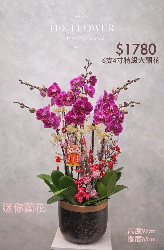 特級台蘭 6支 - TFK Flower