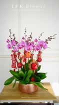 Load image into Gallery viewer, 蘭花 Orchids

