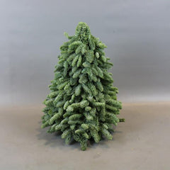 Mini Handmade X'mas Tree - ABIES NOBILIS TREE - TFK Flower
