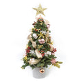 Load image into Gallery viewer, Mini Handmade X'mas Tree - ABIES NOBILIS TREE - TFK Flower
