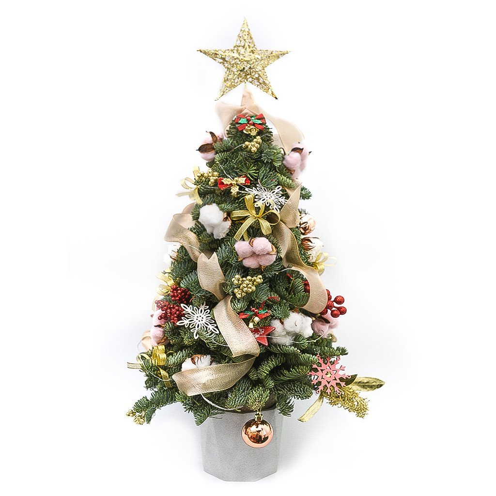 Mini Handmade X'mas Tree - ABIES NOBILIS TREE - TFK Flower