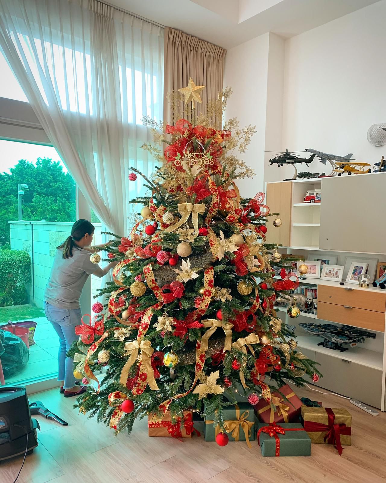 Noble Fir Christmas tree 聖誕樹 (貴族松，德洲松，歐洲諾曼松）whatsapp 拿照片 - TFK Flower