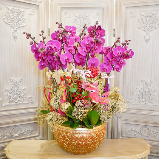 Orchid - Flourishing - TFK Flower