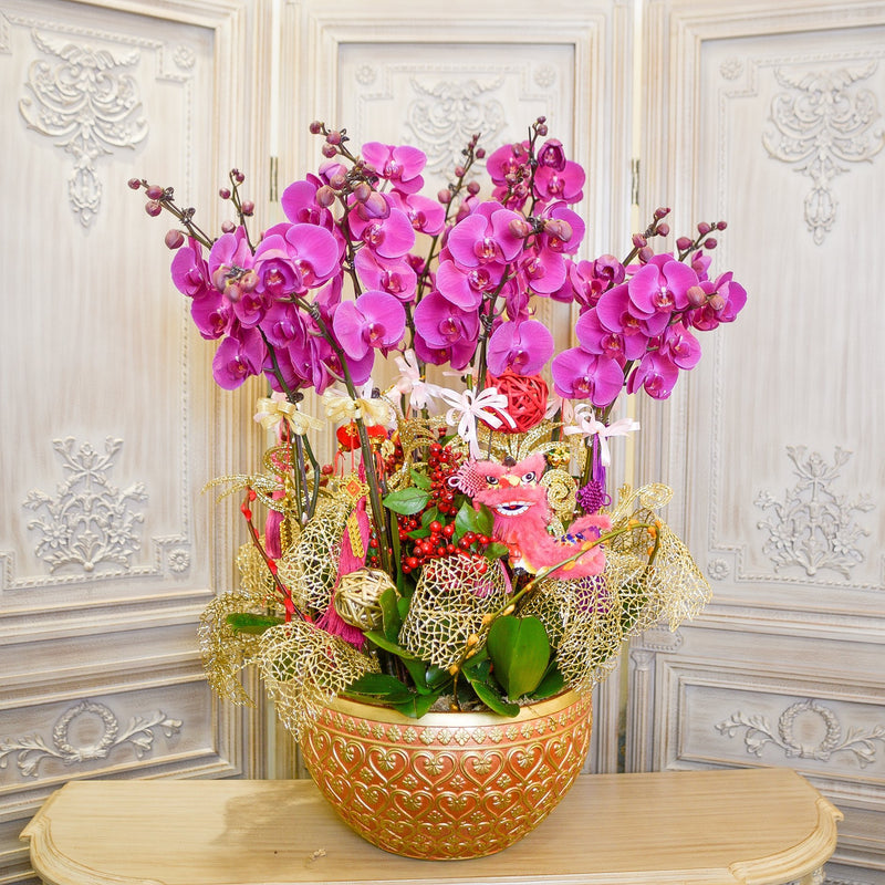 Orchid - Flourishing - TFK Flower