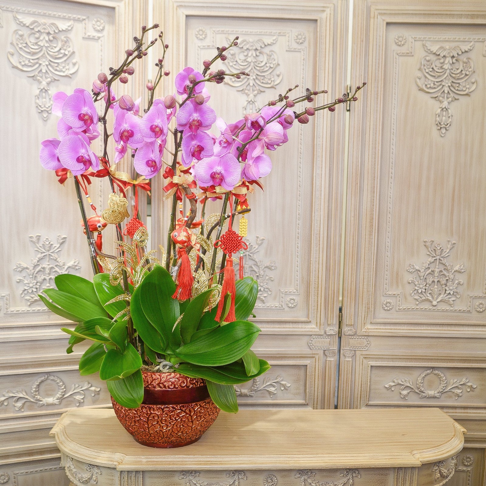 Orchid - Rising Star - TFK Flower