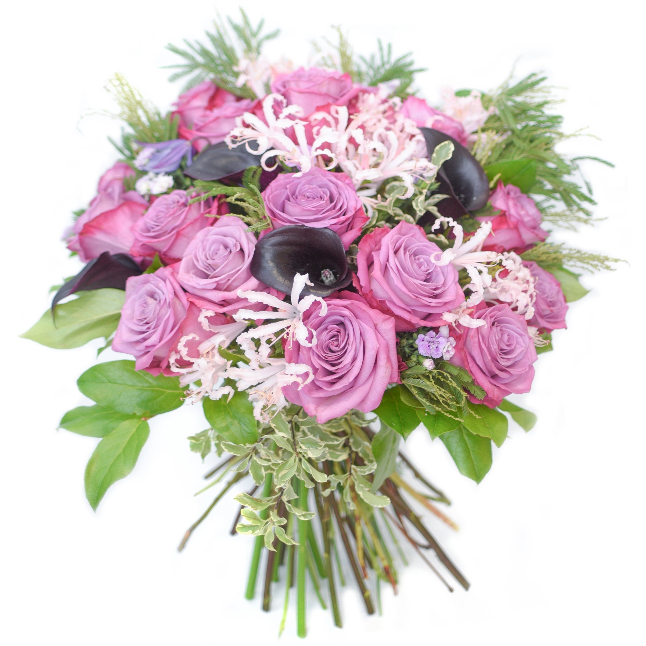 Purple Melody (Dark Purple) - TFK Flower