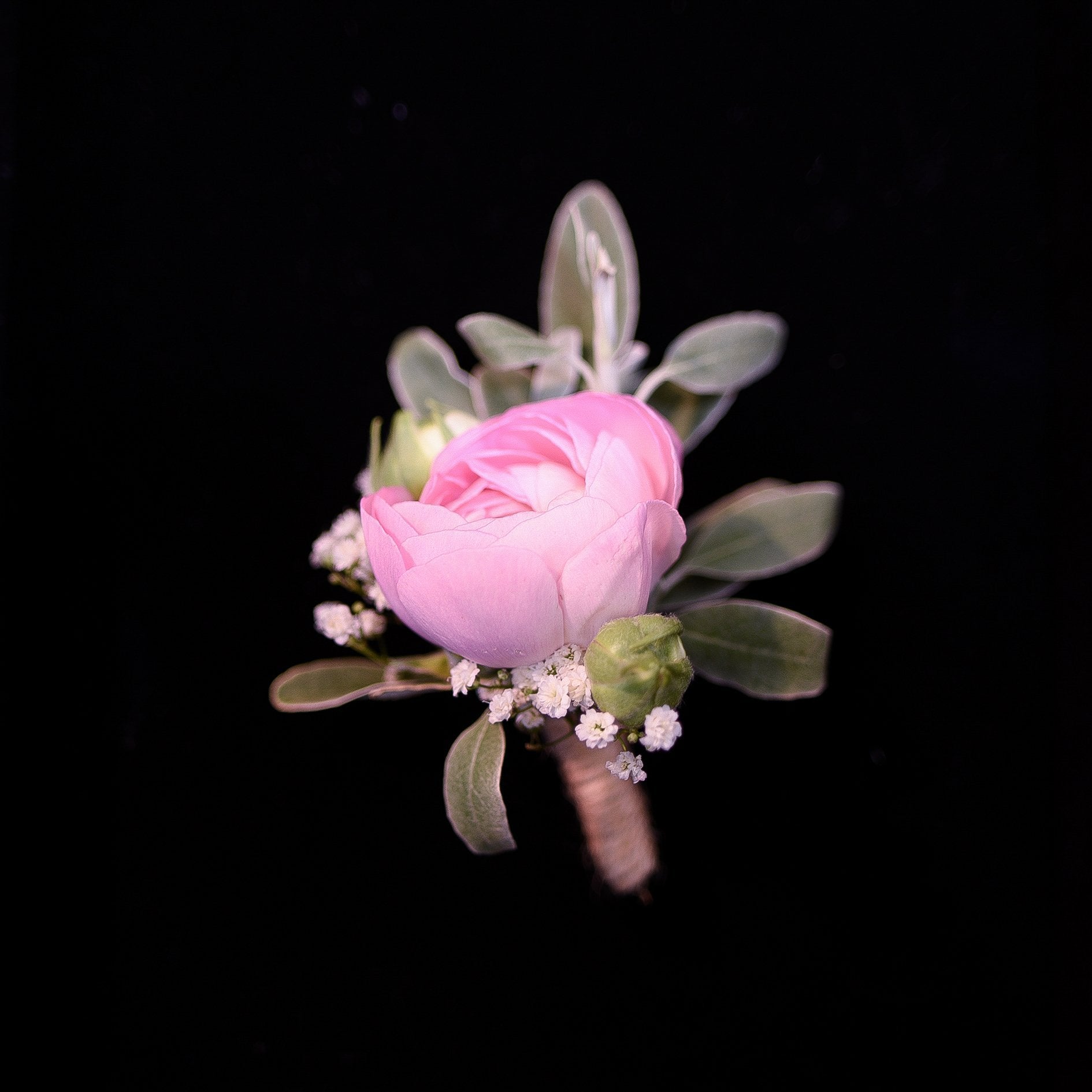 Ranunculus Boutonniere - TFK Flower